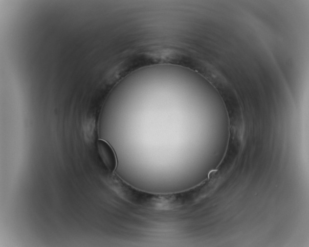 X0000115250660200911061219