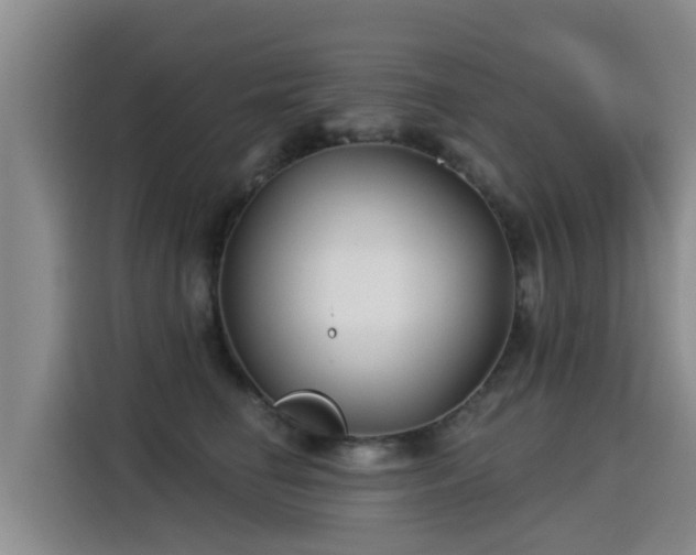 X0000115250662200911061219