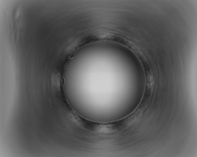 X0000115250664200911061219