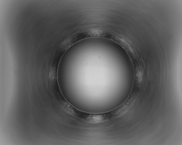 X0000115250665200911061219