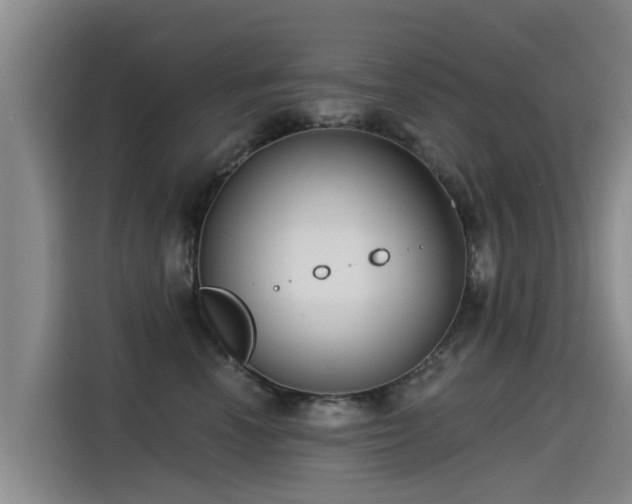 X0000115250666200911061219