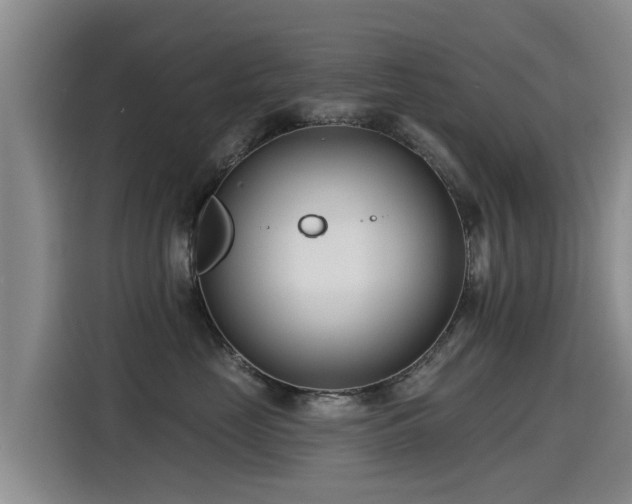 X0000115250669200911061220