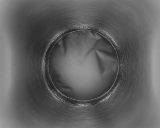 X0000115250674200911061219