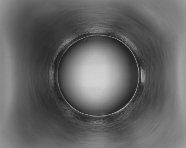 X0000115250675200911061219