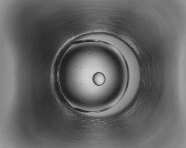 X0000115250676200911061219