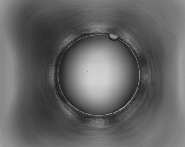 X0000115250677200911061219