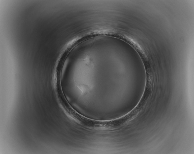 X0000115250678200911061219