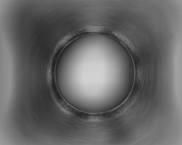 X0000115250682200911061219
