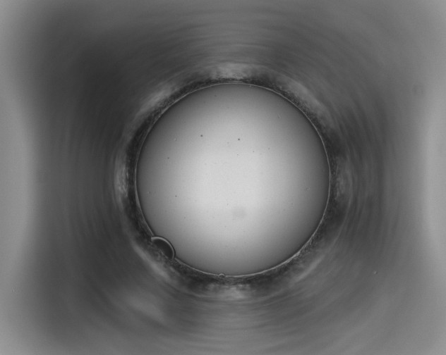 X0000115250683200911061219