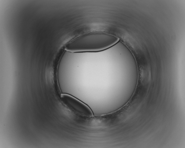 X0000115250684200911061219