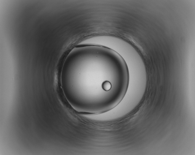 X0000115250685200911061219