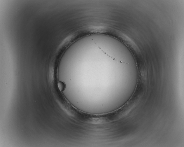 X0000115250686200911061219