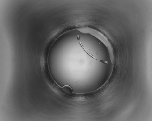 X0000115250687200911061219