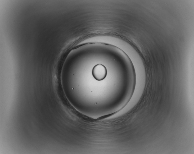 X0000115250688200911061219