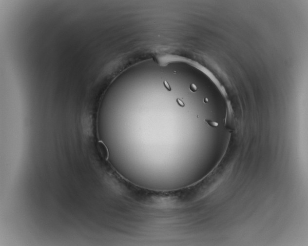 X0000115250689200911061219