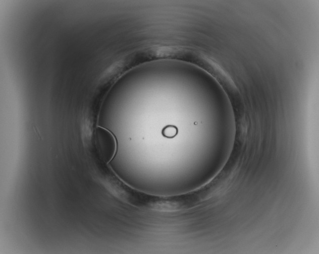 X0000115250691200911061219