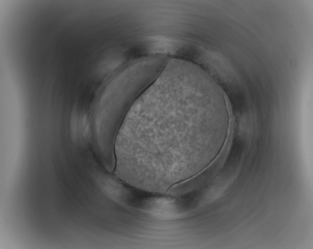 X0000115250692200911061219