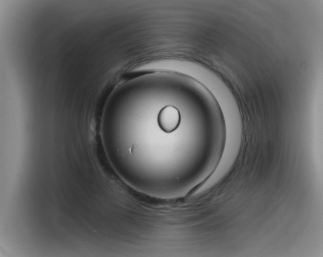 X0000115250693200911061219