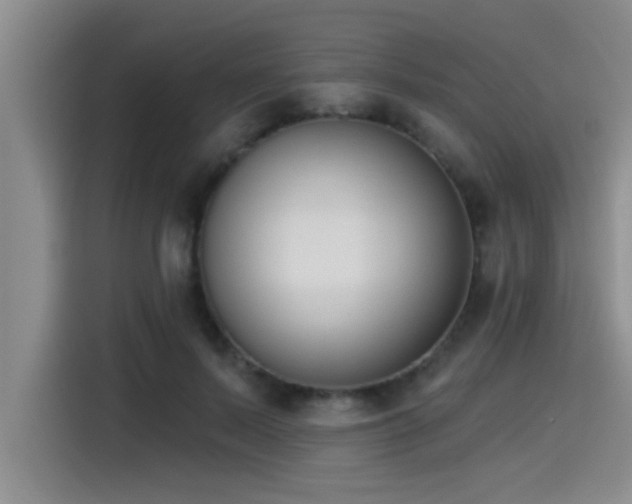 X0000115250695200911061219