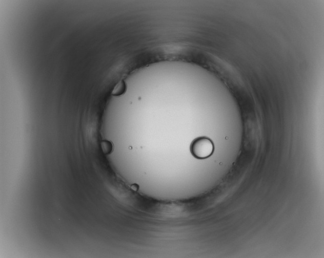 X0000115250698200911061219