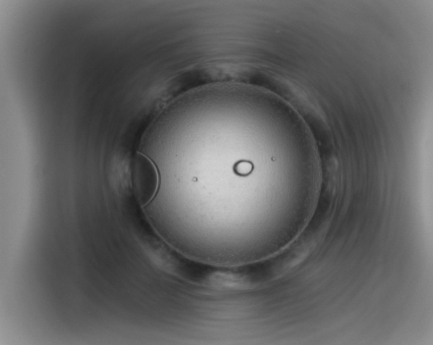 X0000115250699200911061219