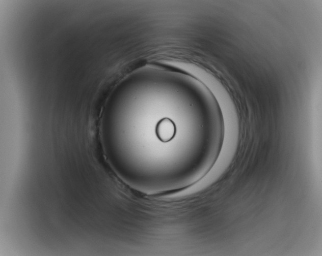 X0000115250701200911061219