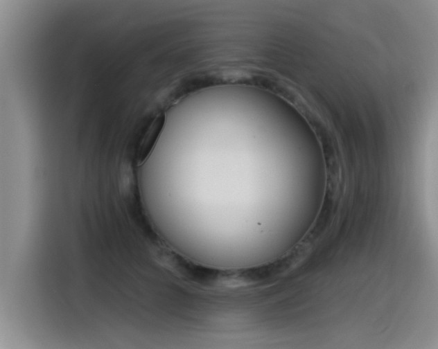 X0000115250704200911061219
