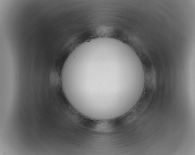 X0000115250705200911061219