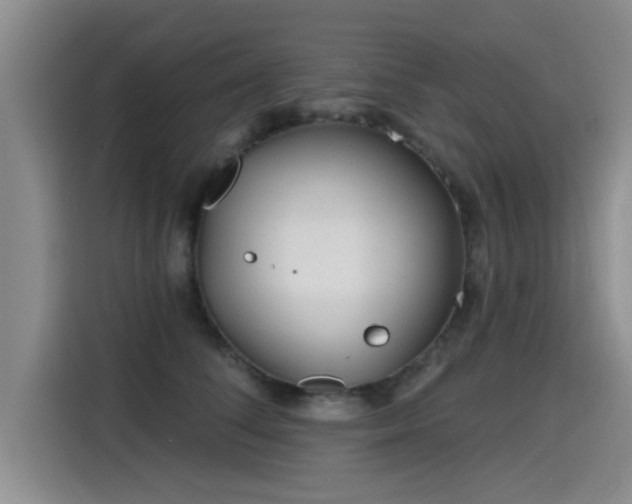 X0000115250708200911061218