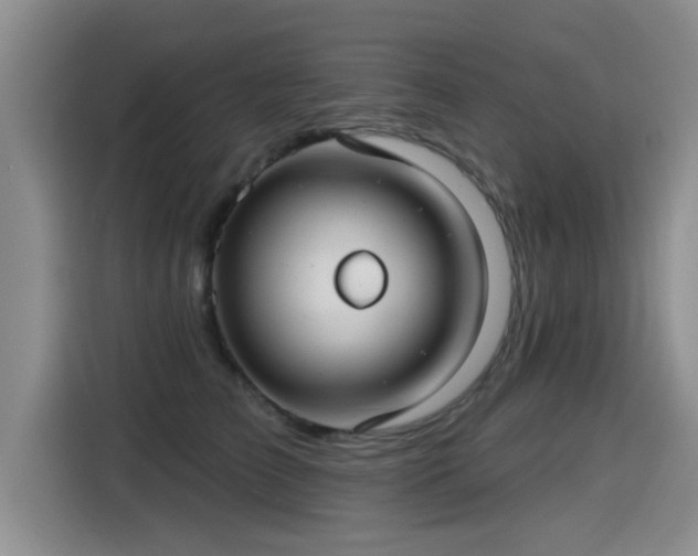 X0000115250709200911061218