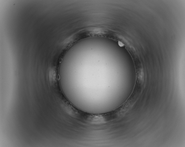 X0000115250715200911061218