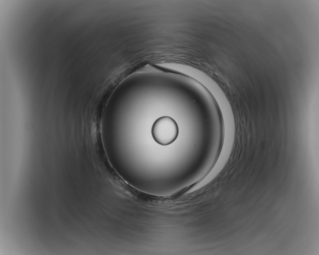 X0000115250716200911061218