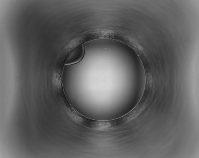 X0000115250719200911061218