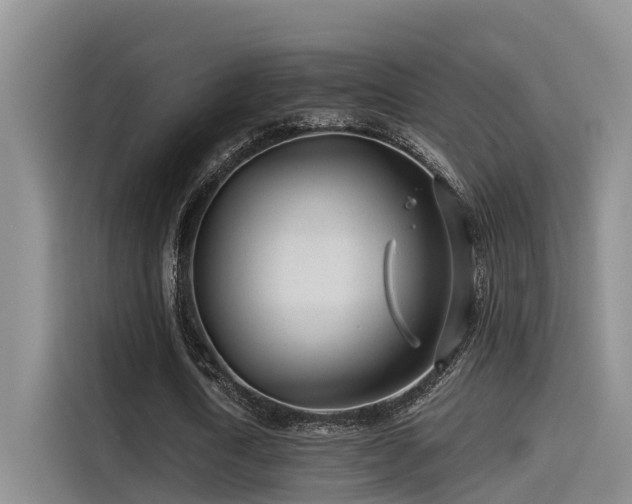 X0000115250722200911061218