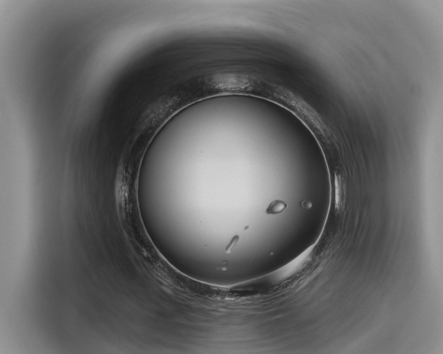 X0000115250723200911061218