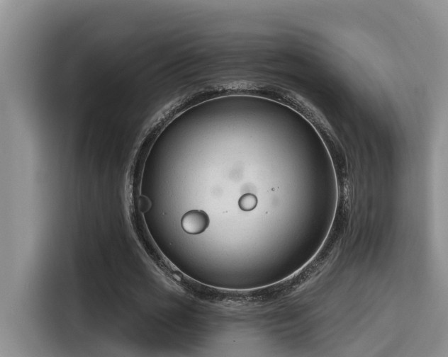 X0000115250725200911061218