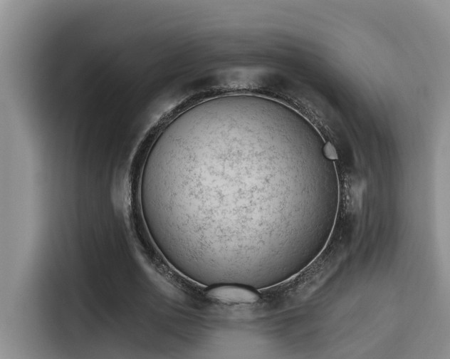 X0000115250726200911061218