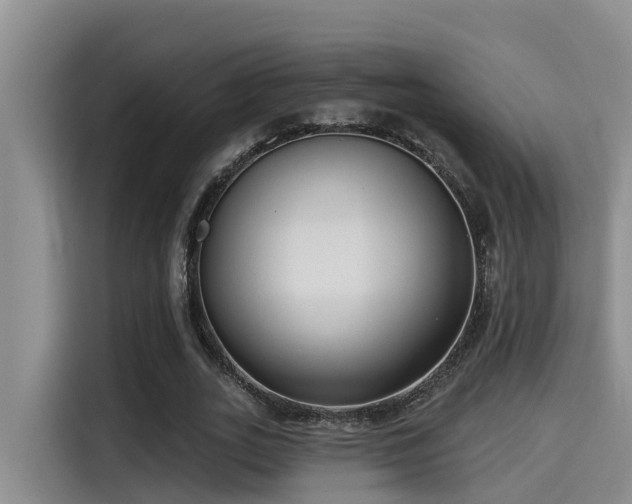 X0000115250727200911061218