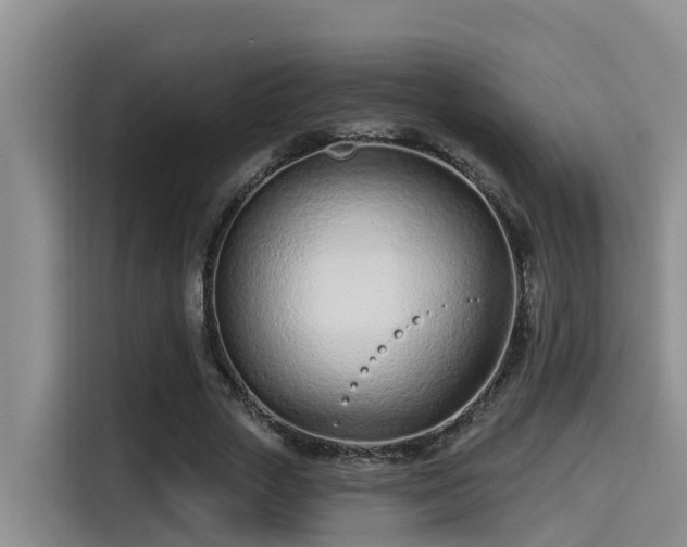 X0000115250729200911061218