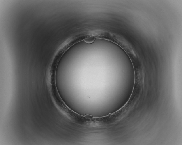 X0000115250730200911061218