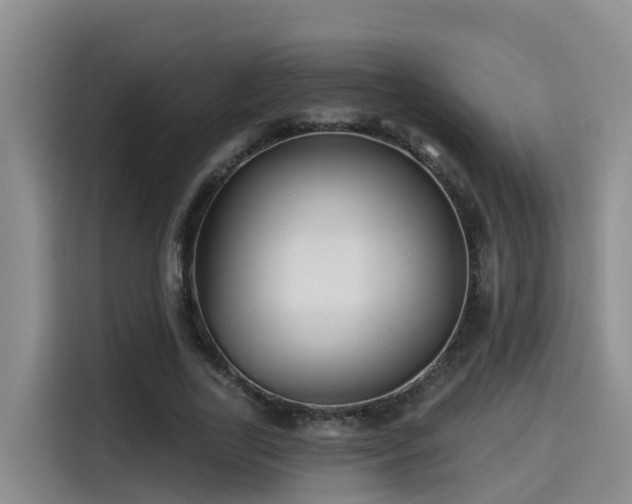 X0000115250731200911061218