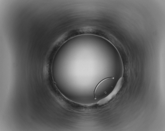 X0000115250735200911061218