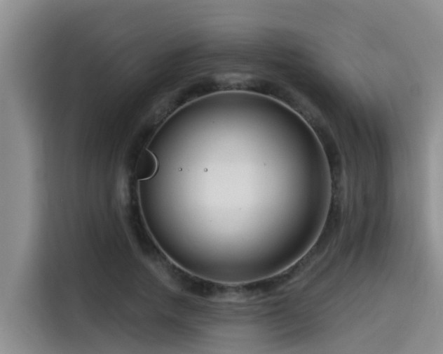 X0000115250738200911061218
