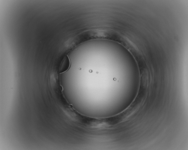 X0000115250747200911061218