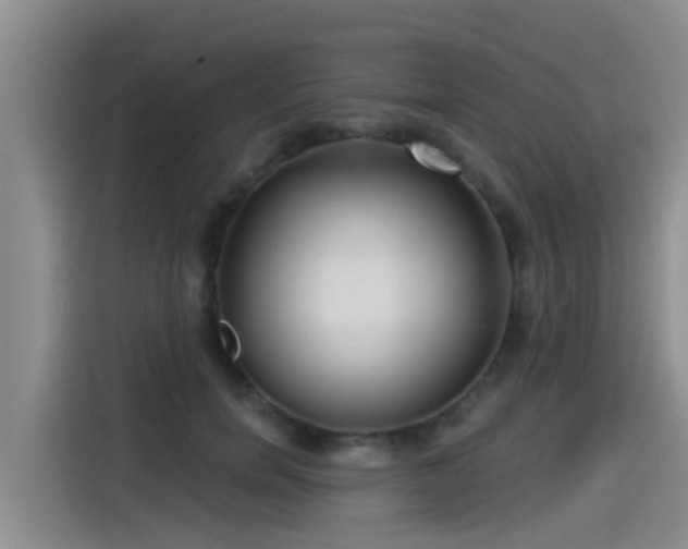 X0000115250750200911061218