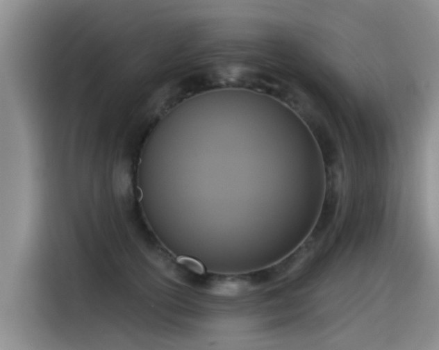 X0000115250754200911061218