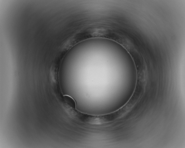 X0000115250755200911061218