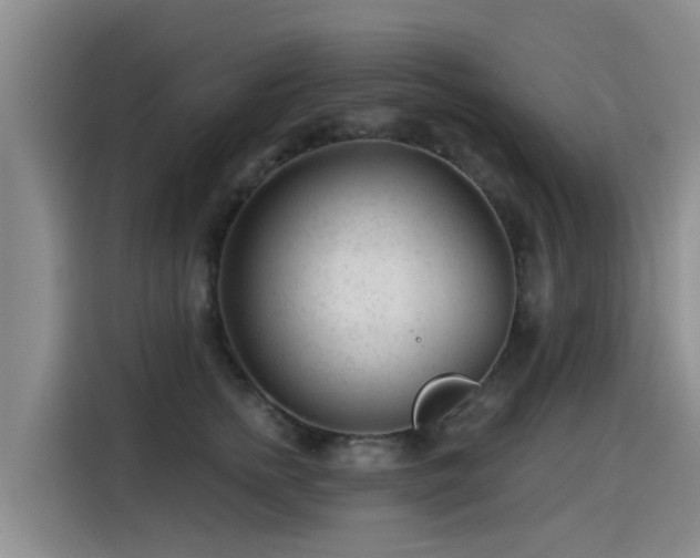 X0000115250758200911061218