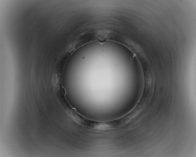 X0000115250759200911061218