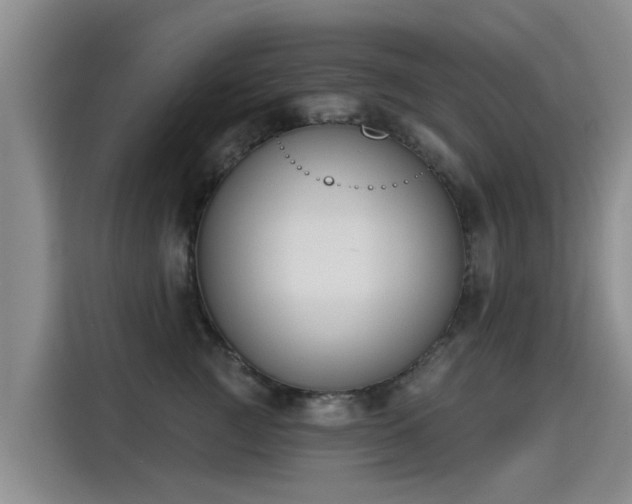 X0000115250761200911061218
